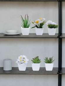 1 cái/bộ 6 cây mọng nước nhân tạo mini, thích hợp cho gia đình, phòng khách, bàn làm việc, bệ cửa sổ, trang trí bàn làm việc văn phòng, Ngày của Mẹ, trang trí tiệc cưới, trang trí sân vườn, cây ngoài trời. làm vườn, trang trí nhà bằng hoa giả - Màu xanh lá cây trắng - Xem 12