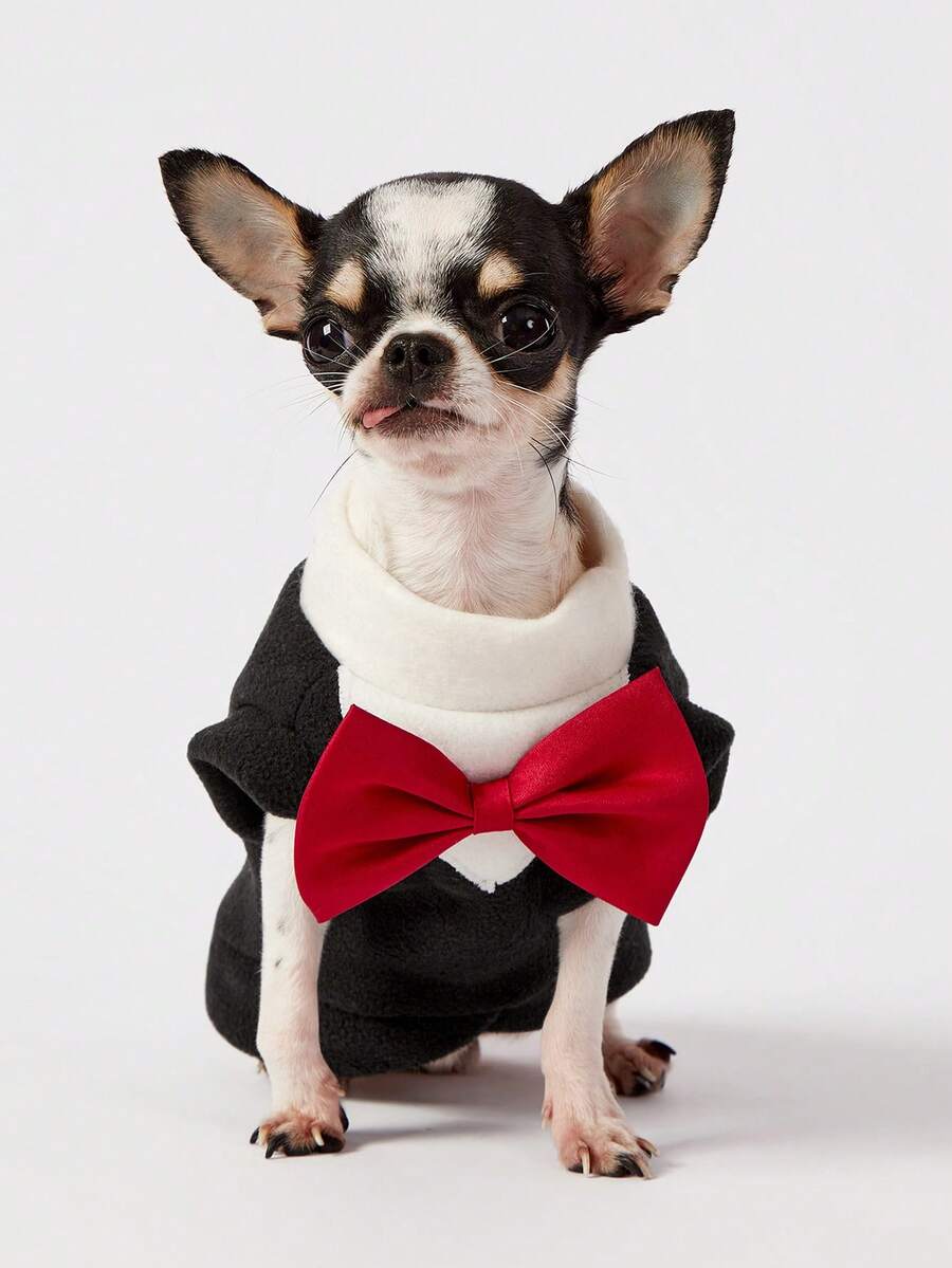 PETSIN 1件宠物大狗金色毛发秋冬新款柯基猫套装宠物连衣裙猫咪服装狗狗用品,黑色背心酒红色领结 - 黑色 - 查看 1