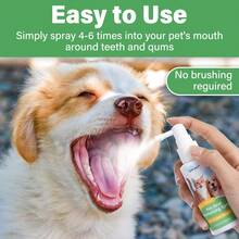 1pc 60ml Pet Breath Freshening And Dental Care Spray, Dog Bad Breath Removal, Cat Oral Cleaning Spray, Dental Floss - Multicolor - View 4