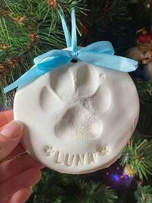 1pc Cat And Dog Paw Print Clay Kit - DIY Keepsake Set With Bracket, Golden Paint, Brush, Mold Box, Letter Mold, And Ribbon For Pet Birthday Gift, Material: PVA And Foaming Powder, Includes 2 Bags Of Printing Clay