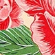 Hồng