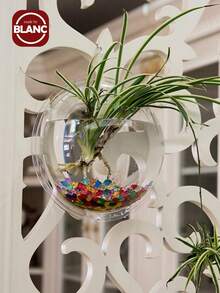 1pc Clear Wall Mounted Plant Pot, Simple Plastic Hanging Plant Container For Household - Clear - View 2