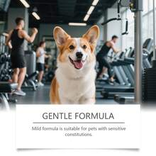 1Pc 60ml Pet Ear Drops - Suitable For Cats And Dogs, Daily Care For Pet Ear Cleaning And Odor Removal