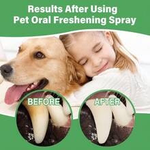 1pc 60ml Pet Breath Freshening And Dental Care Spray, Dog Bad Breath Removal, Cat Oral Cleaning Spray, Dental Floss - Multicolor - View 6