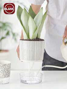 1 chậu trồng cây bằng nhựa họa tiết sọc ngựa vằn đen trắng có đáy trong suốt, thiết kế sáng tạo và đơn giản, dây tự tưới nước và chậu chứa nước dày, thích hợp cho việc làm vườn như trồng cây trong chậu tại nhà. - Đen và trắng - Xem 2