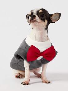 PETSIN 1件宠物大狗金色毛发秋冬新款服装柯基猫套装宠物连衣裙猫咪衣服狗狗用品，深灰色背心 - 灰色 - 查看 6