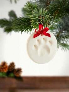 1pc Cat And Dog Paw Print Clay Kit - DIY Keepsake Set With Bracket, Golden Paint, Brush, Mold Box, Letter Mold, And Ribbon For Pet Birthday Gift, Material: PVA And Foaming Powder, Includes 2 Bags Of Printing Clay