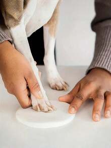 1pc Cat And Dog Paw Print Clay Kit - DIY Keepsake Set With Bracket, Golden Paint, Brush, Mold Box, Letter Mold, And Ribbon For Pet Birthday Gift, Material: PVA And Foaming Powder, Includes 2 Bags Of Printing Clay