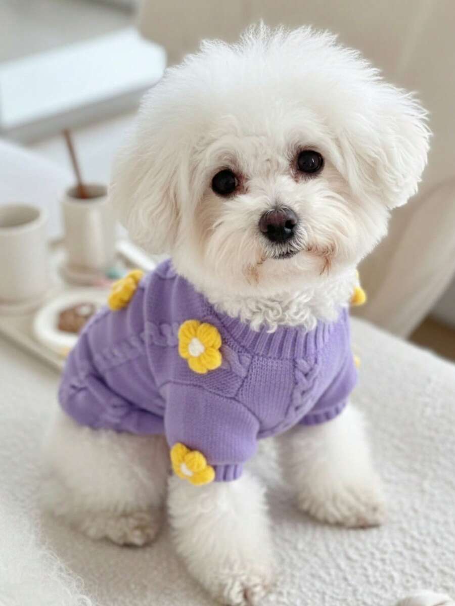 PETSIN 1件紫色黄色花朵秋冬宠物毛衣秋冬加厚宠物保暖家居宠物衣服 - 紫色 - 查看 1