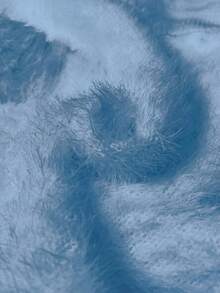 Franclia 欧美风高领加厚针织长袖打底衫，修身剪裁，适合秋冬季节穿着。