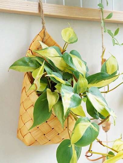 Madebyblanc 1 Cesta tejida, cesta colgante de pared estilo pastoril para flores, cesta de almacenamiento de jengibre y ajo de cocina, cesta de mano para utensilios de cocina y compras, cesta colgante de balcón, tejida a mano