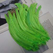 20pcs 25-45cm Wholesale Artificial Rooster Feathers Headwear Wedding Party Clothing DIY Plume Home Decoration Accessories - Multicolor - View 19