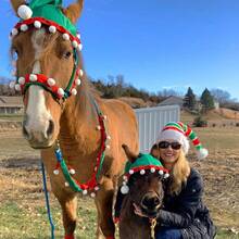 1pc Christmas Elf Horse Hat Equestrian Supplies Christmas Horse Hat Double Ear Design Christmas Gift Christmas Photo Christmas Gift For Ponies