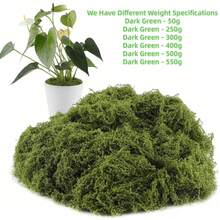Rêu nhân tạo trang trí 30/50/100g - Cây xanh chân thực, hoàn hảo cho tiểu cảnh, trang trí cửa sổ và bố cục thiết kế - Nhiều màu - Xem 11