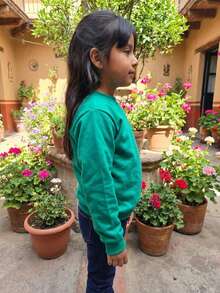 Sudadera para niña estilo casual sencillo, confección en color sólido de alta calidad, tela suave de punto, sin estampado, corte amplio y cómodo, cuello redondo, manga larga, primavera/otoño, ideal para uso diario y actividades casuales - Verde - Ver 2