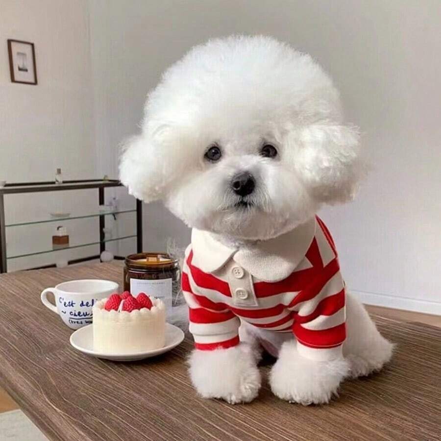 Pets, Cats, Dogs, Dog Clothes, Puppy Dog, Chihuahua Dog Clothes, Cat Supplies, Pet Clothing, Dog Striped Clothes, Cat Two-Legged Clothes, Polo Shirt Apparel - Red - View 1