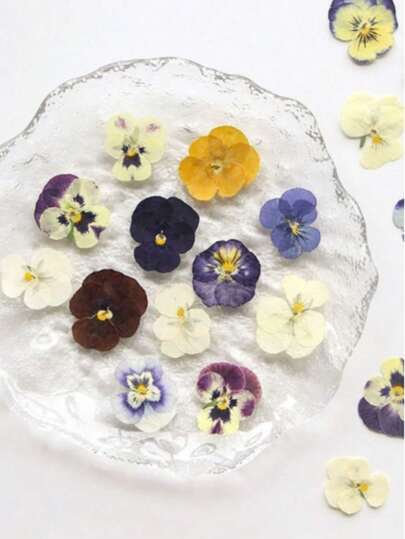64pcs/32pcs/16pcs Mixed Natural Dried Flowers, Real Flower Plant Specimens Pressed Flowers, Can Be DIY Used For Bookmarks, Ornaments, Soap, Mobile Phone Cases, Mirror Decoration, Glue Drops And Other Supplies. Very Suitable For Women, Mother's Birthday Gifts, Holiday Gifts, Gifts From Classmates And Teachers.