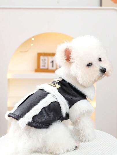 PETSIN 1件猫狗通用宠物服装，秋冬时尚加厚外套，冬季天鹅绒黑色皮夹克带毛领，保暖狗狗服装