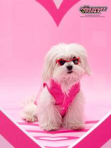 THE POWERPUFF GIRLS X PETSIN 1件绣花大眼女孩爱宠物猫狗通用保暖舒适无袖外套，配玫瑰红牵引扣，秋冬加厚绒毛外套