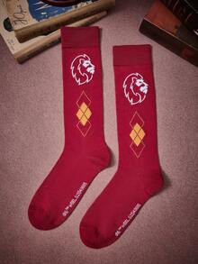 HARRY POTTER X SHEIN 女士过膝袜