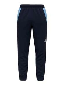 Adidas Tiro24 Men's Training Pants Navy Blue - Team navy blue 2 - View 1
