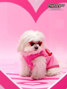 THE POWERPUFF GIRLS X PETSIN 1件绣花大眼女孩爱宠物猫狗通用保暖舒适无袖外套，配玫瑰红牵引扣，秋冬加厚绒毛外套