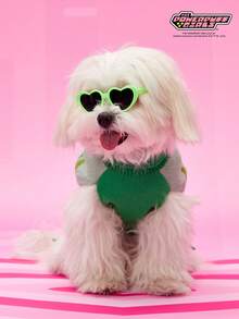 THE POWERPUFF GIRLS X PETSIN 1pc Pet Cat Dog Universal Green Love Cute Cartoon Pattern Jacquard High Neck Elastic Comfortable Warm Dog Sweater - Green - View 2