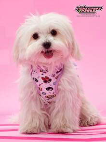 THE POWERPUFF GIRLS X PETSIN 卡通图案宠物背带，适合日常穿着