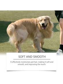 1pc/2pcsPet Cats And Dogs Deodorization Spray Daily Mild Cleaning Odor Air Fresh Portable Spray - 100ml - View 5