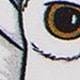Owl-2
