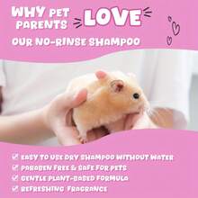 A No-Rinse Shampoo Specially Designed For Pets, Revolutionizing The Way You Groom Your Furry Friend! Its Gentle Formula Means No Washing Required, Making It Easy And Simple To Use. Provides Refreshing Care For Your Furry Companion Anytime, Anywhere. Also Includes Squirrel Flea And Tick Repellent, Squirrel Prevention Agent, And Squirrel Shampoo. - Multicolor - View 3