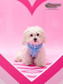 THE POWERPUFF GIRLS X PETSIN 1. 刺绣黄毛女孩宠物猫狗通用保暖舒适无袖外套蓝色带扣秋冬加厚绒毛外套 - 藍色 - 查看 6