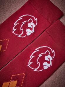 HARRY POTTER X SHEIN 女士过膝袜