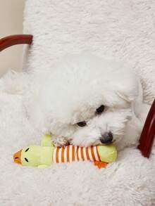 PETSIN 1 件宠物毛绒动物玩偶，恐龙耐咬吱吱叫玩偶，适合金毛猎犬和其他狗狗