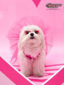 THE POWERPUFF GIRLS X PETSIN 1件红色兔子女孩爱心印花宠物裙玫瑰红简约风格亲肤透气宠物衣服 - 玫紅色 - 查看 8