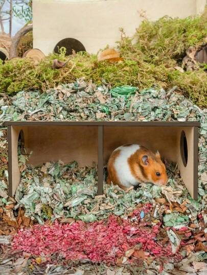 Rumah Persembunyian Kayu dengan Rak - Habitat Hamster, Tupai, Landak, Guinea Pig, Ukuran Kecil/Sedang/Besar, Terowongan Eksplorasi
