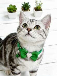 PETSIN 1 Pet Bow Tie Heart Collar Adjustable Neck Circumference Cat Collar Dog Collar Pet Supplies - Multicolor - View 9