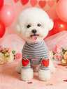 Pet Supplies