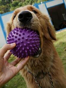 1PC Random Color Squeaky Dog Chew Ball Rubber Teeth Cleaning Toy Interactive Playtime Pet Training Fun Game Outdoor Indoor Puppy Toy Gift - Purple - View 1