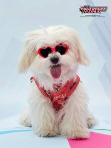 THE POWERPUFF GIRLS X PETSIN 1件可爱大眼女孩花朵情书印花休闲风宠物背心亲肤透气宠物衣服