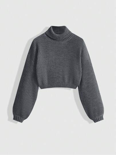 Women's Casual Daily Solid Color Turtleneck Ribbed Knit Sweater, Autumn/Winter