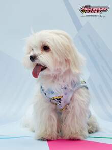 THE POWERPUFF GIRLS X PETSIN 1件可爱大眼女孩花朵情书印花休闲风宠物背心亲肤透气宠物衣服