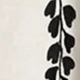 黑與白