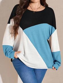 SHEIN LUNE Plus Size Casual Contrast Color Round Neck Lantern Sleeve Sweatshirt, Autumn Plus Size Fall Clothes - Teal Blue - View 4