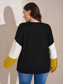 SHEIN LUNE 大码休闲撞色圆领灯笼袖卫衣，秋季大码服装 - 彩色 - 查看 2
