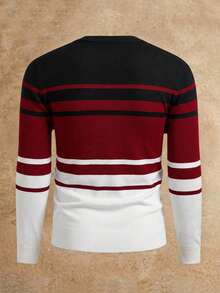 Mainfolk Men's Striped Casual Crew Neck Knit Pullover Sweater Knit Tops Jumper, For Spring - Multicolor - View 2