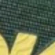 Fern/Asphalt Grey