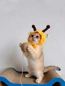 1件装青蛙针织宠物帽，可爱卡通猫咪帽，适合小型犬猫，手工针织头饰，舒适时尚宠物配饰，柔软保暖，冬季拍照、服装派对、圣诞节、万圣节装扮，时尚可爱小狗小猫服装，宠物爱好者的理想礼物