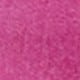 Rosa Fucsia