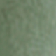 olivo